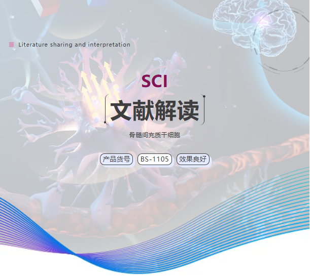 文獻(xiàn)解讀丨具有神經(jīng)-血管生成功能的抗菌仿生骨膜用于骨再生